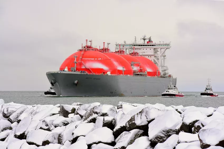 Sistemas de computadoras para carga ShipResponse | Soluciones digitales marítimas